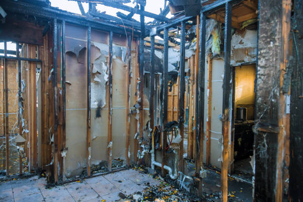 Professional Fire Damage Removal technician working in Winfield, AL
